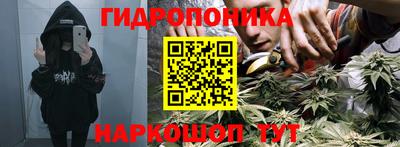 сатива Тверь
