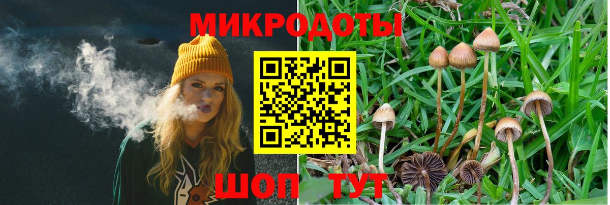Галлюциногенные грибы ЛСД Оренбург